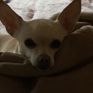 Meet your Posher, Charma